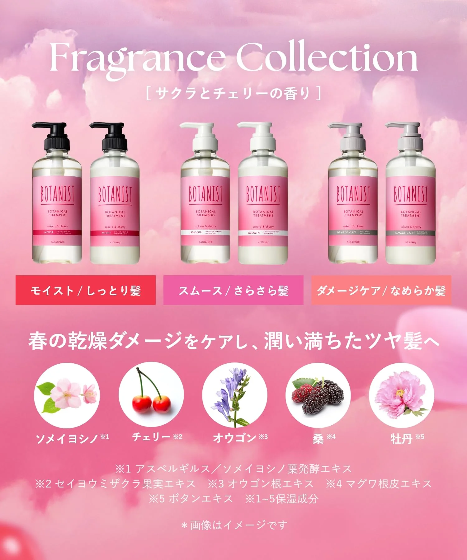 [2025 Spring Limited Edition] BOTANIST Shampoo Treatment Set - Damage Care - Sakura & Cherry Fragrance - Image 3