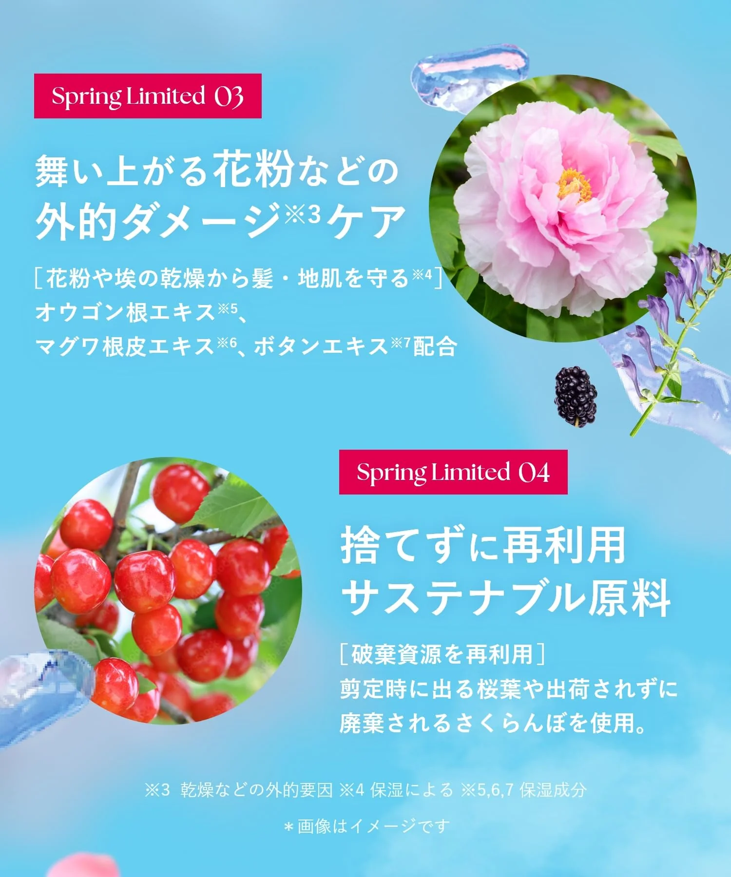 [2025 Spring Limited Edition] BOTANIST Shampoo Treatment Set Smooth Cherry & Cherry Fragrance - Image 6