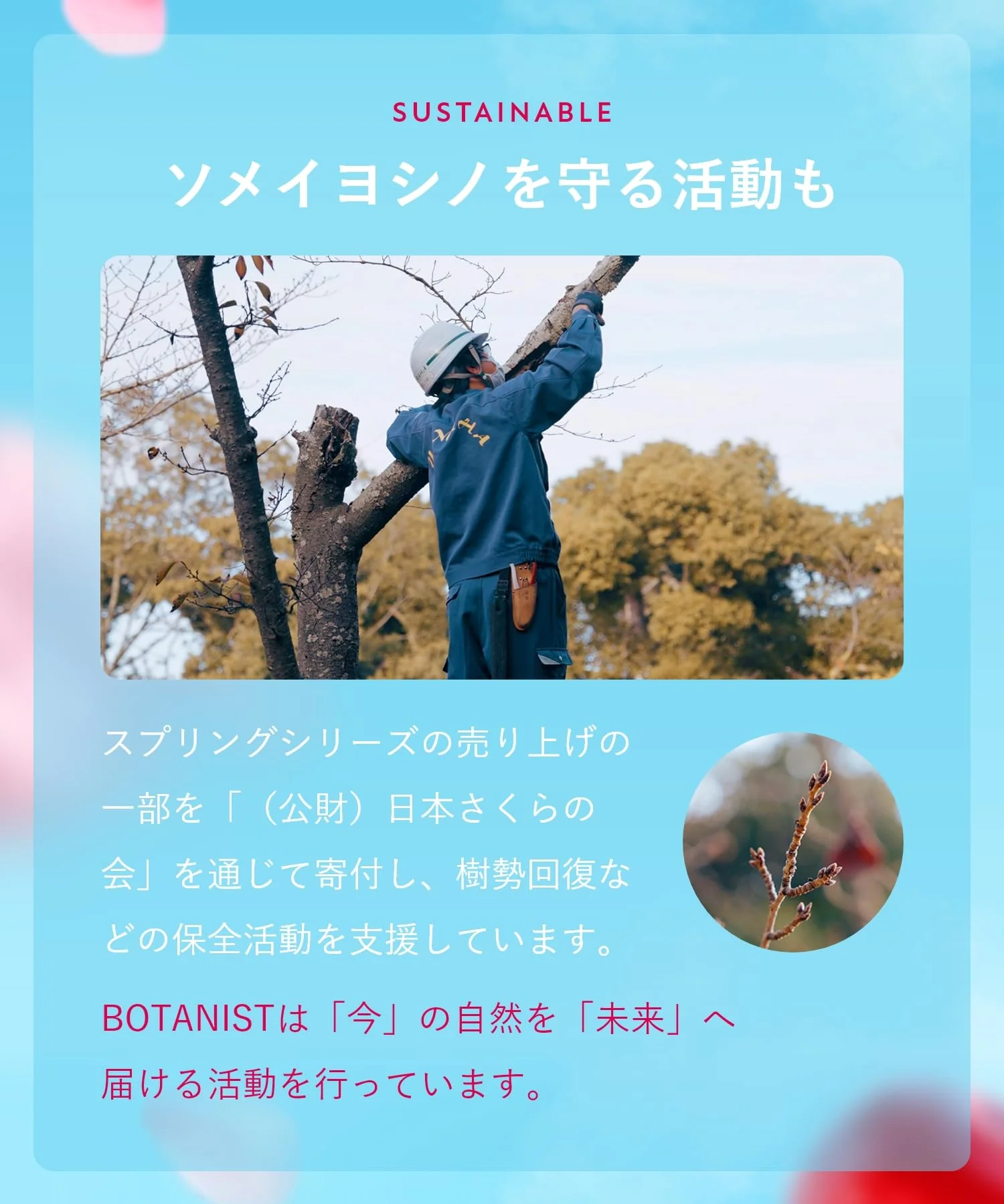 [2025 Spring Limited Edition] BOTANIST Shampoo Treatment Set Smooth Cherry & Cherry Fragrance - Image 7