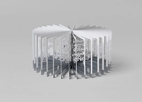 360°BOOK Snowy World 360°BOOK Series - Image 2