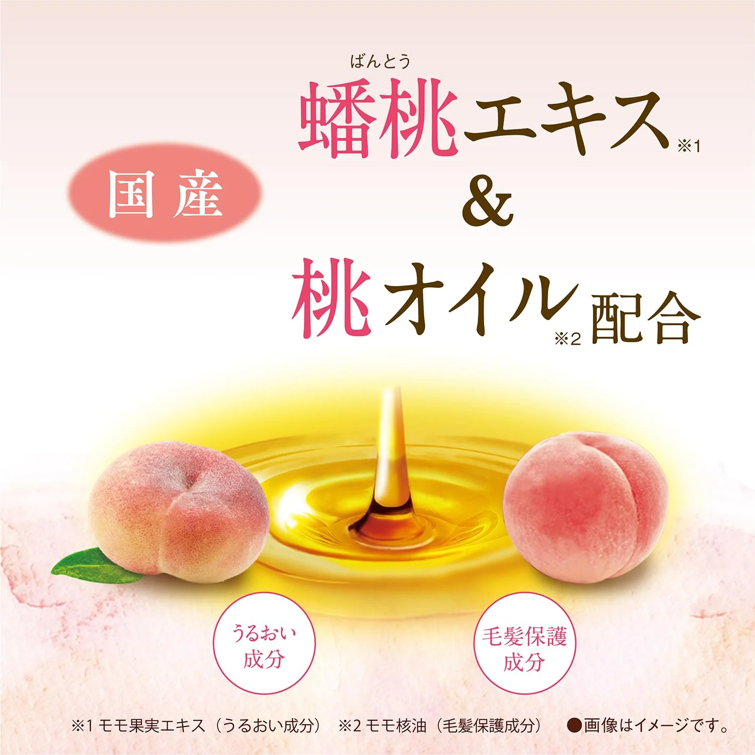 DARIYA Momori Cream Shampoo Moist Non-Silicon Fruity Fleur Fragrance 420g - Image 7