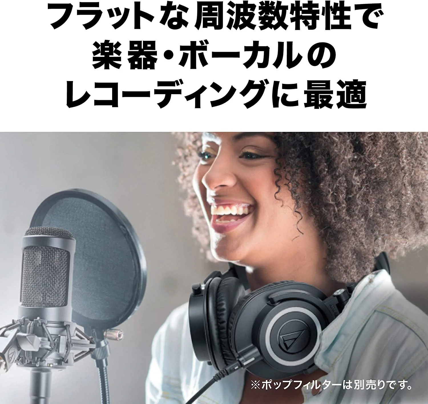 Audio-Technica AT2035 Condenser Microphone - Image 2