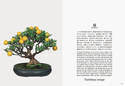 Bonsai New Edition with English Translation - Image 4