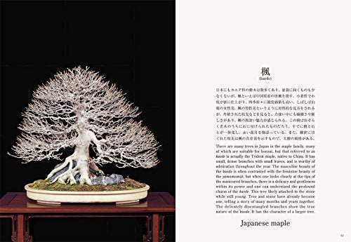 Bonsai New Edition with English Translation - Image 6