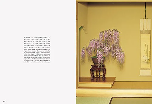 Bonsai New Edition with English Translation - Image 7