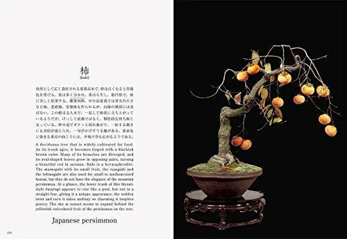 Bonsai New Edition with English Translation - Image 8