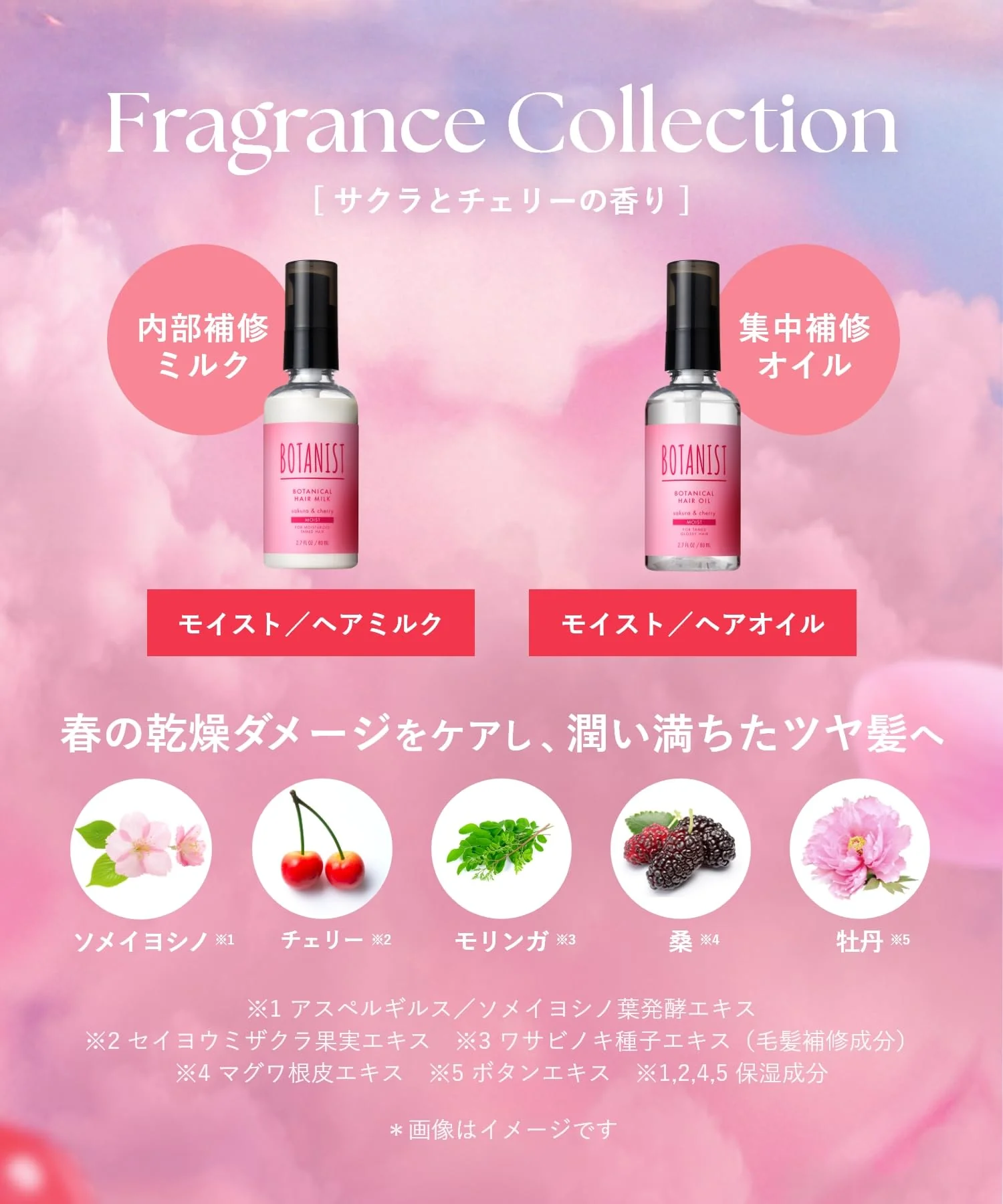 BOTANIST Hair Oil Moist Cherry & Cherry Fragrance - Image 3