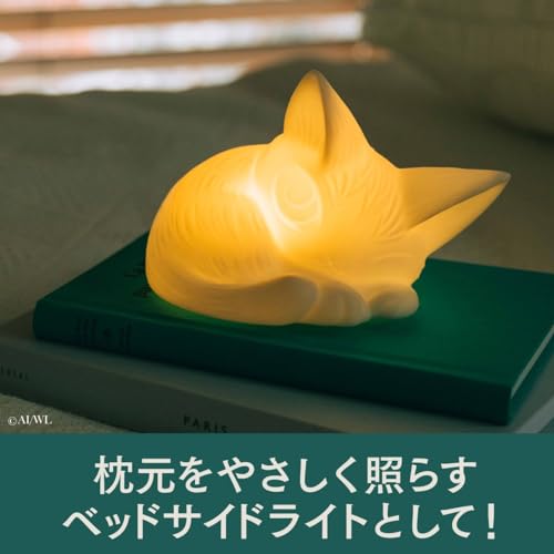 Cat no Dayan Room Light Book - Image 5