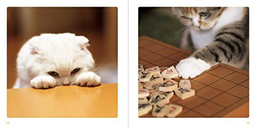 Cat Paws Books - Image 4