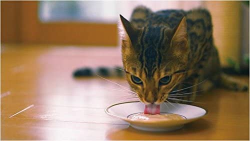 INABA CIAO Churu Tuna Seafood Mixed Taste 14g x 20 Cats - Image 3