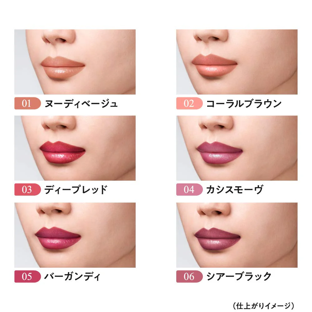 COSME DECORTÉ Coffret Dor Contour Lip Duo Sheer Black 06 Lipstick - Image 6