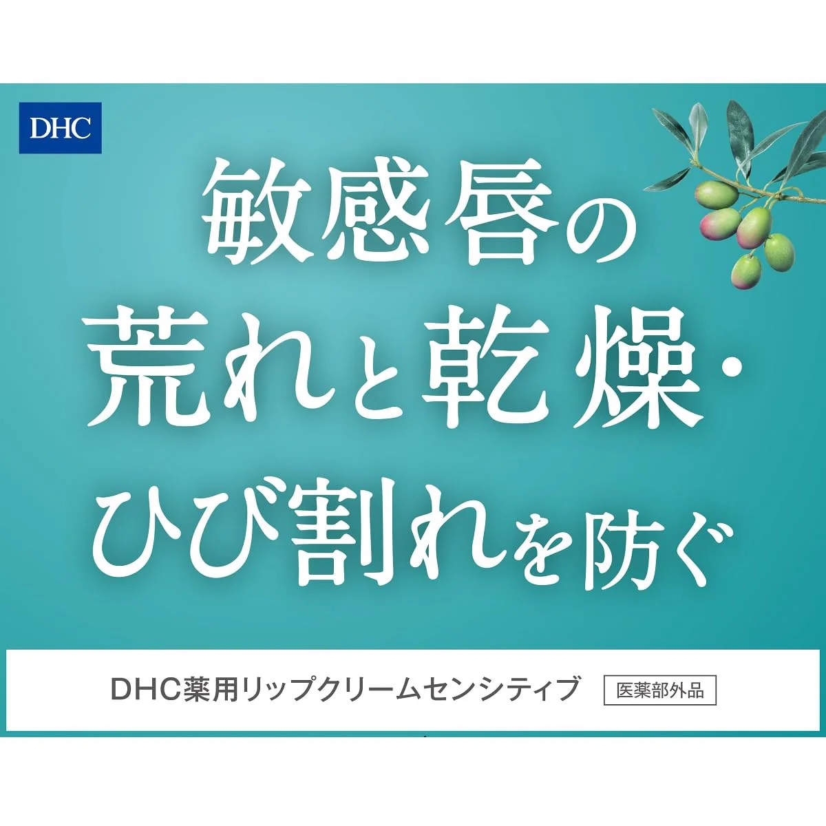 DHC Medicinal Lip Cream Sensitive - Image 5