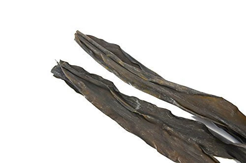 Dosho Kombu Natural Hidaka Kombu for Business 1kg - Image 2