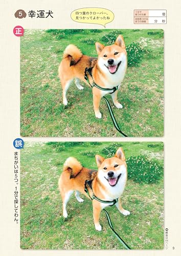 Everyday Brain Activity Special Shiba Inu - Image 10