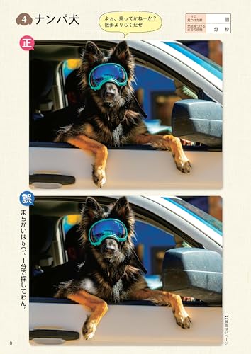 Everyday Brain Activity Special Shiba Inu - Image 9