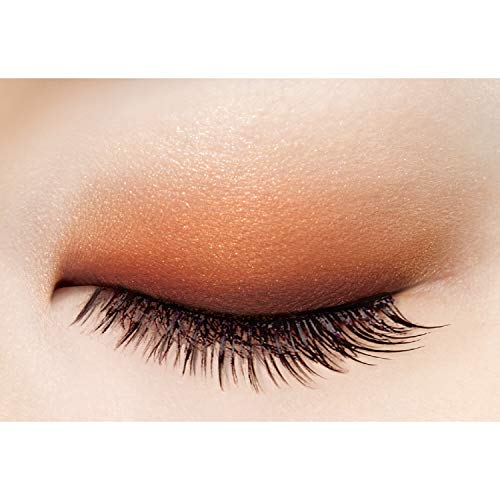 excel Skinny Rich Shadow SR05 (Warm Brown) Palette Eye Shadow - Image 4