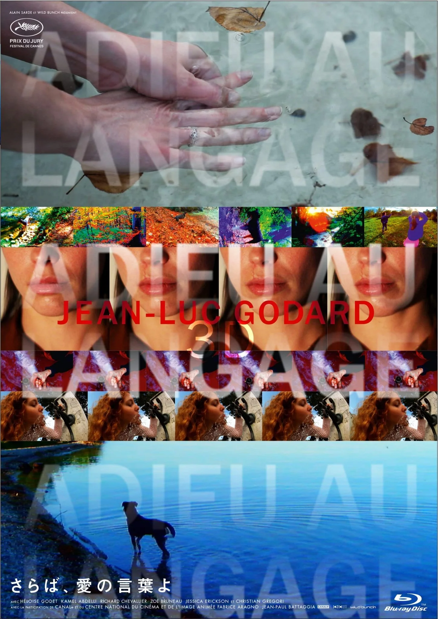 Farewell  Words of Love 3D [Blu-ray]