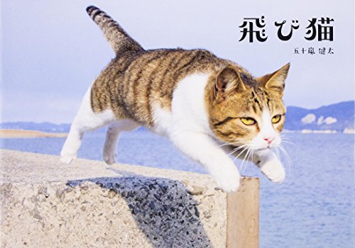 Flying Cat Book