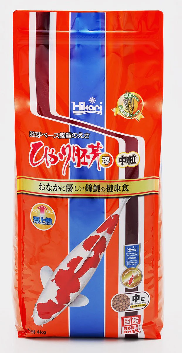 Hikari Wheat-Germ Koi Food Floating Medium Grain Rice 5.0~5.5mm - Image 8