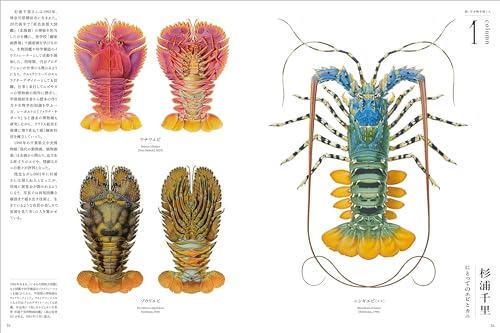 Illustration June 2024 - Image 4