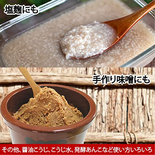 ISESOU Miyako Koji Miso Malted Rice for Sake Fermentation Starter 1kg (35oz) - Image 4