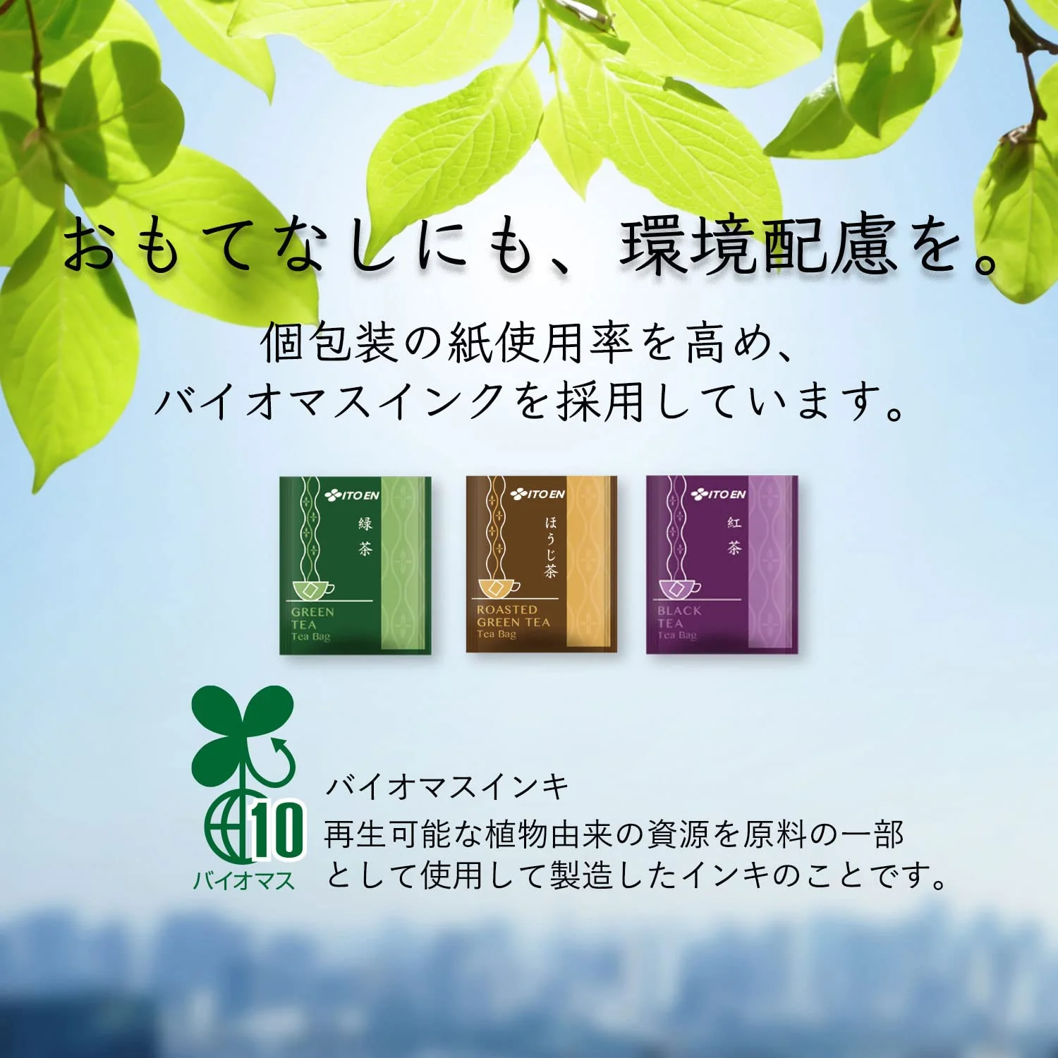 Ito En Green Tea Bags 1 8g x 1000 Wholesale Commercial Bulk - Image 3