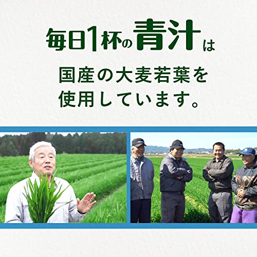 Ito En 1 Cup Of Green Aojiru Juice Every Day 60 Packets Powder - Image 6