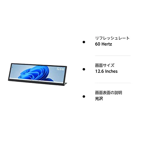 ITPROTECH Mobile Monitor LCD12HCV-IPSW / 12.6 inch - Image 9