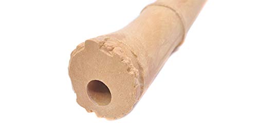 Japanese Conductor Plastic Shakuhachi Yuu Traditional Bamboo Flute 1 8 - Image 4