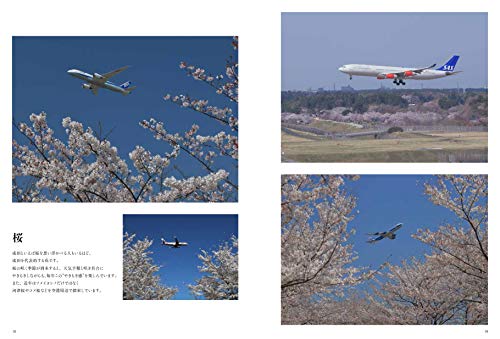 Ikaros Publishing Jet Photogenic II Narita (Book) NEW from Japan - Image 4