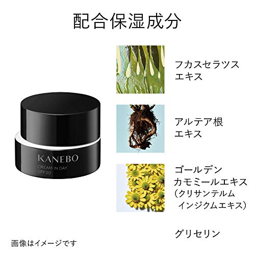 KANEBO Cream In Day 40g SPF20 - Image 8