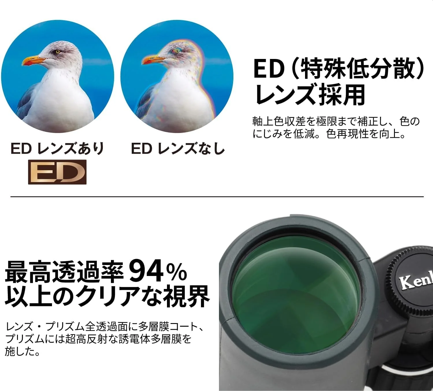 Kenko Avantar 8x32ED II Waterproof Binoculars with ED Lens Wide Field of View - Image 4