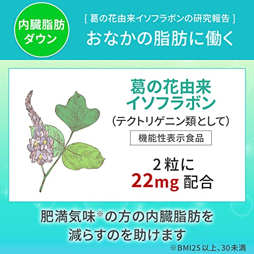 Kirin Imuse Immunocare Visceral Fat Reduction 3.5g (250mg x 14 capsules) - Image 6