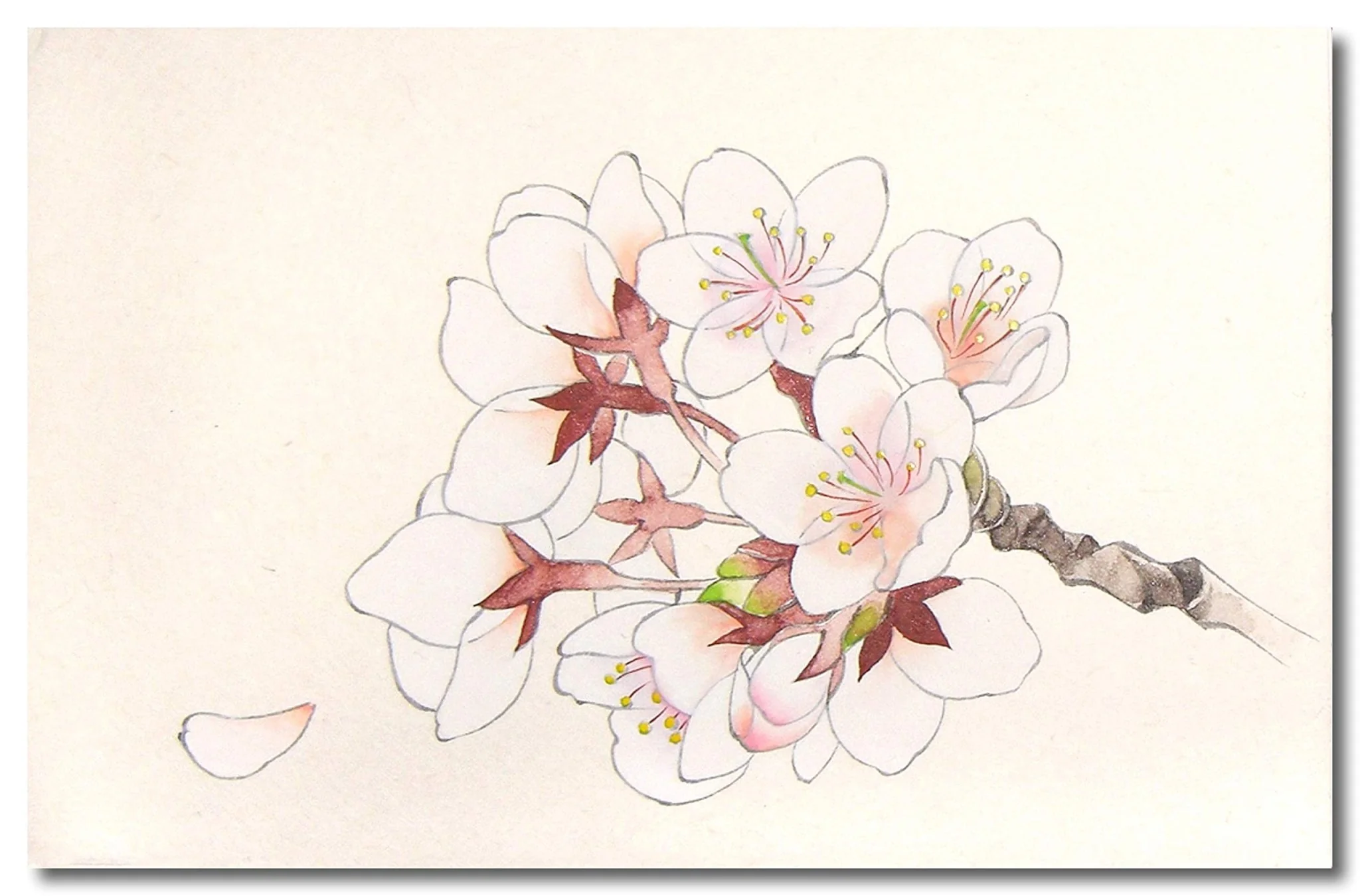 Kissho Japanese Painting Colors Luminescent Accent Set 6 Colors - Image 5