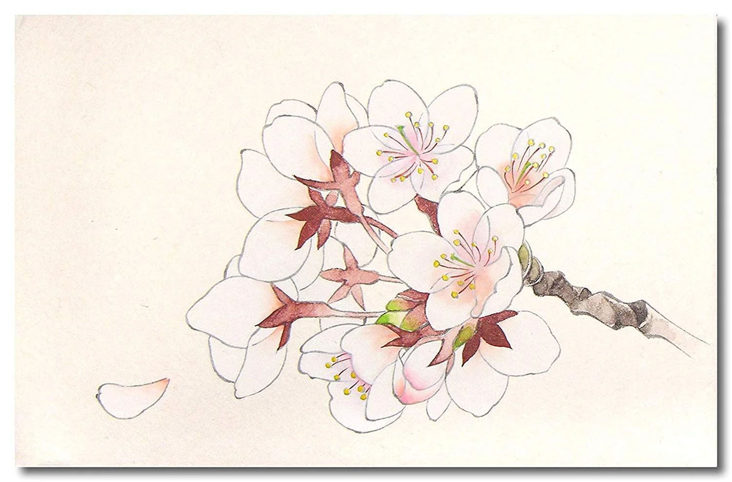 Kissho Japanese Painting Pigments Iwaenogu Set 30 Colors No 1 - Image 3