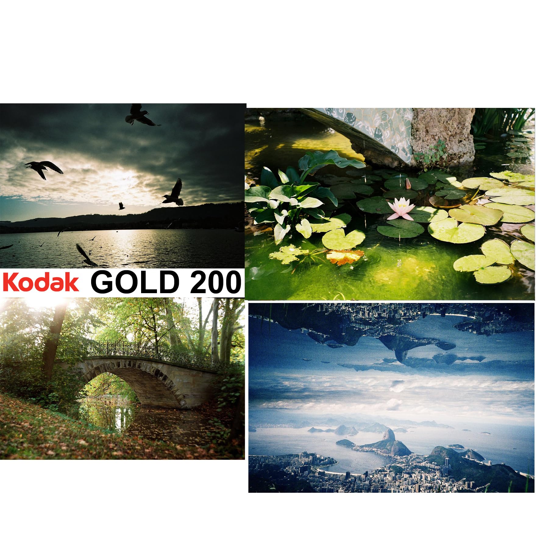 Kodak Gold 200 Color Negative Film  36 Exposures (6033997) - Image 2