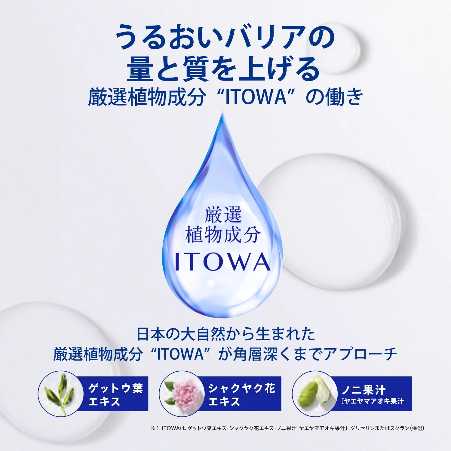 KOSÉ SEKKISEI Clear Wellness Pure Conque SS Moisturizing Lotion 125mL Trial Size - Image 7