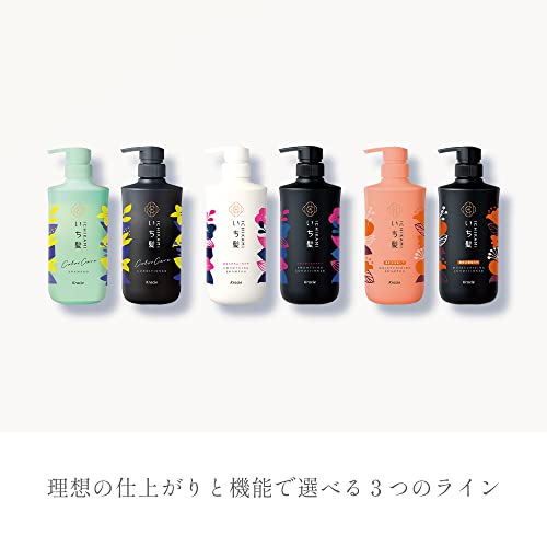 Kracie ICHIKAMI Dense W Moisturizing Care Treatment 230g - Image 7