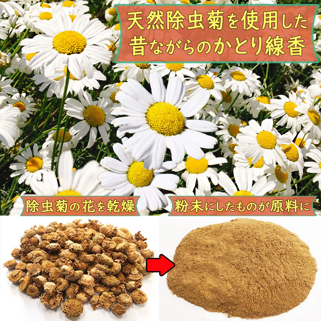 Lion Chemical Natural Pyrethrum Katori Senko Mosquito Incense Sticks Regular Type 30 Rolls - Image 5