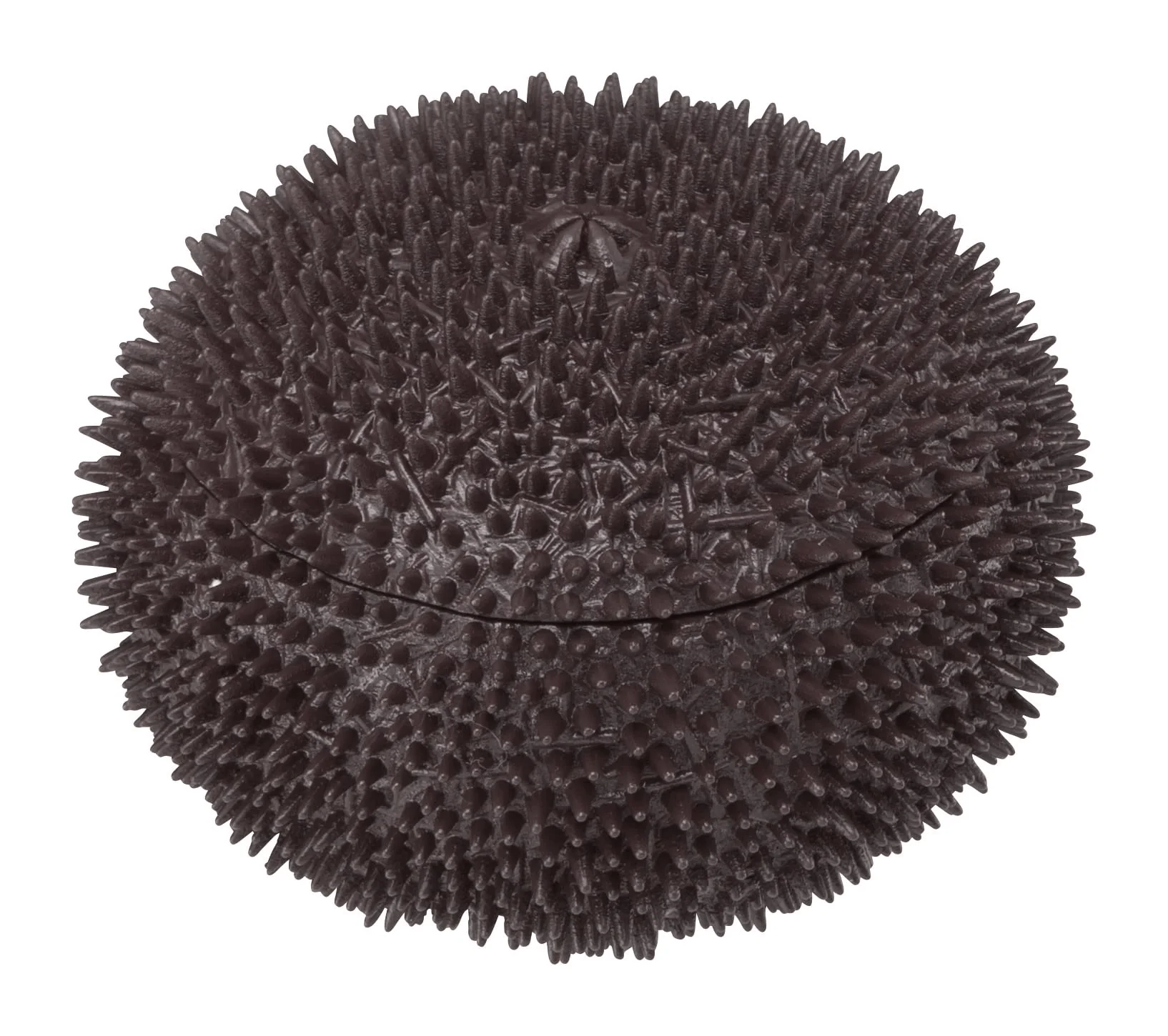MegaHouse Dismantle Puzzle Lite 02: Sea Urchin Puzzle - Image 6