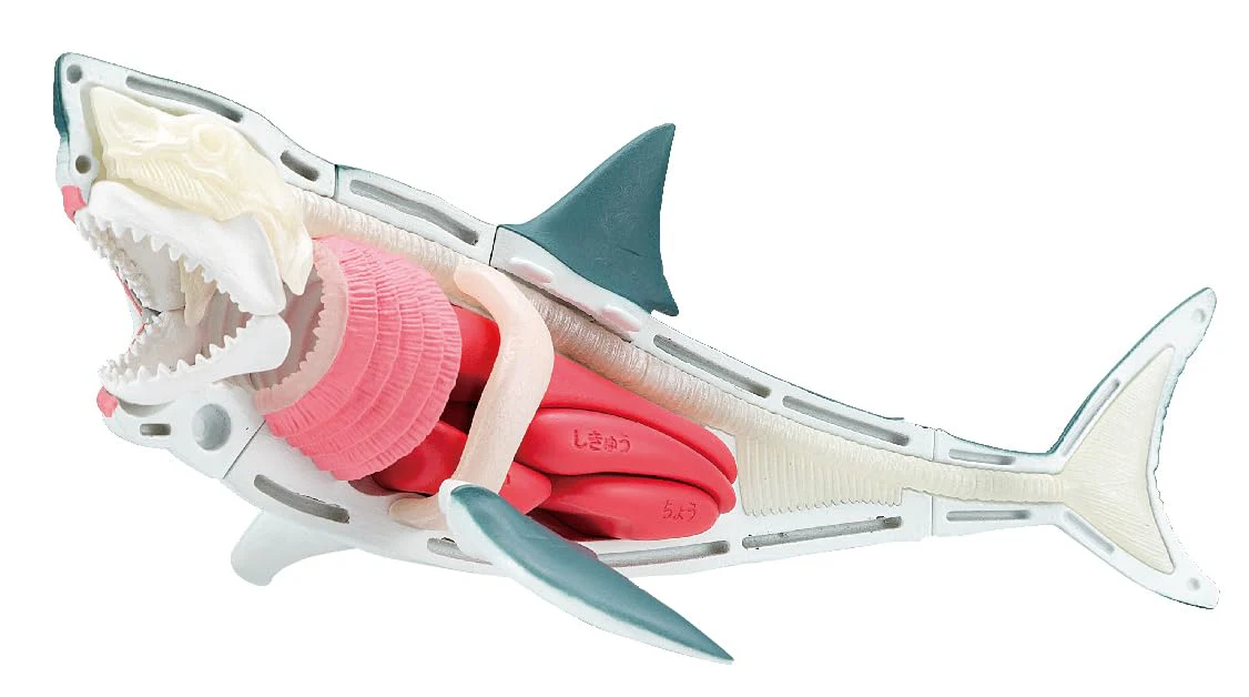 MegaHouse Great White Shark Puzzle - Image 4