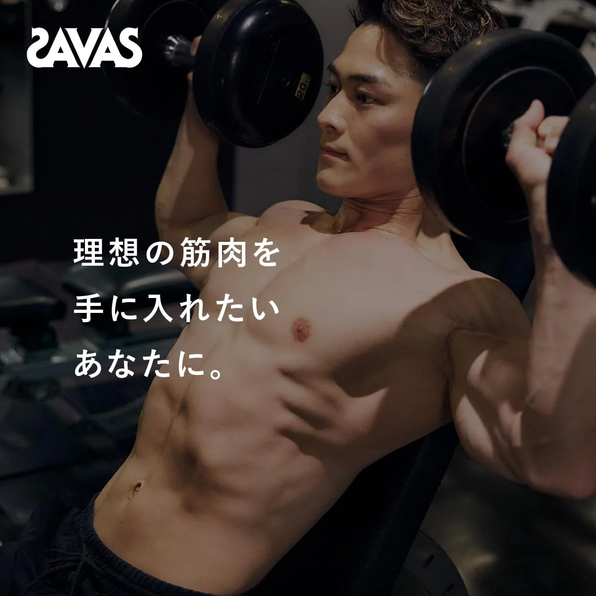 Meiji Savas Pro Muscle Elite Chocolate Flavor Protein Powder 800g - Image 9