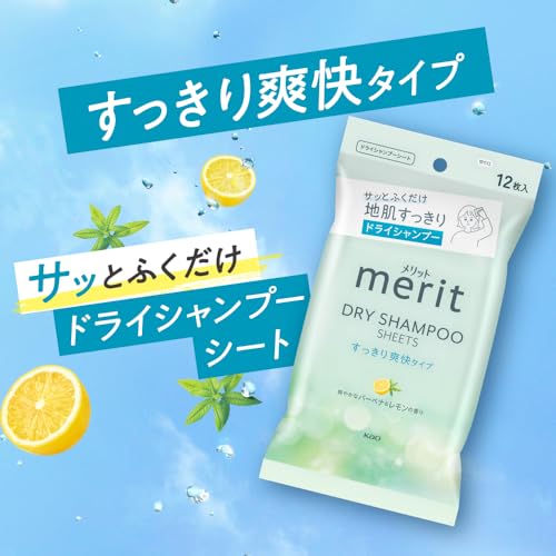 Merit Day Plus Dry Shampoo Sheets White Green 12 sheets - Image 5
