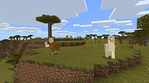Nintendo Switch Minecraft - Image 5