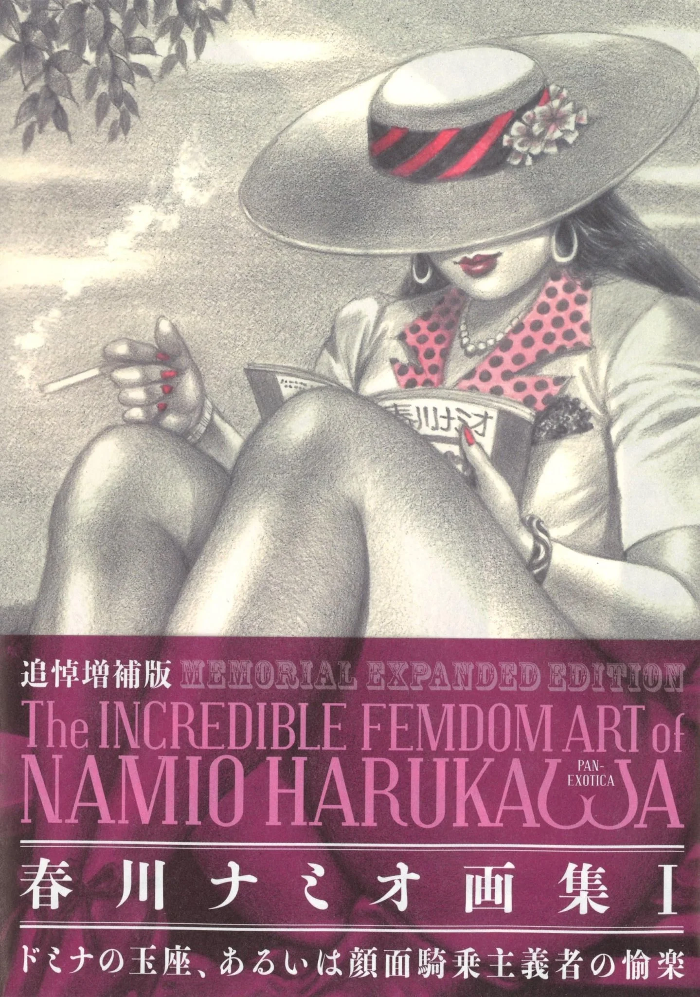 Namio Harukawa Art Collection I Femdom Memorial Expanded Edition