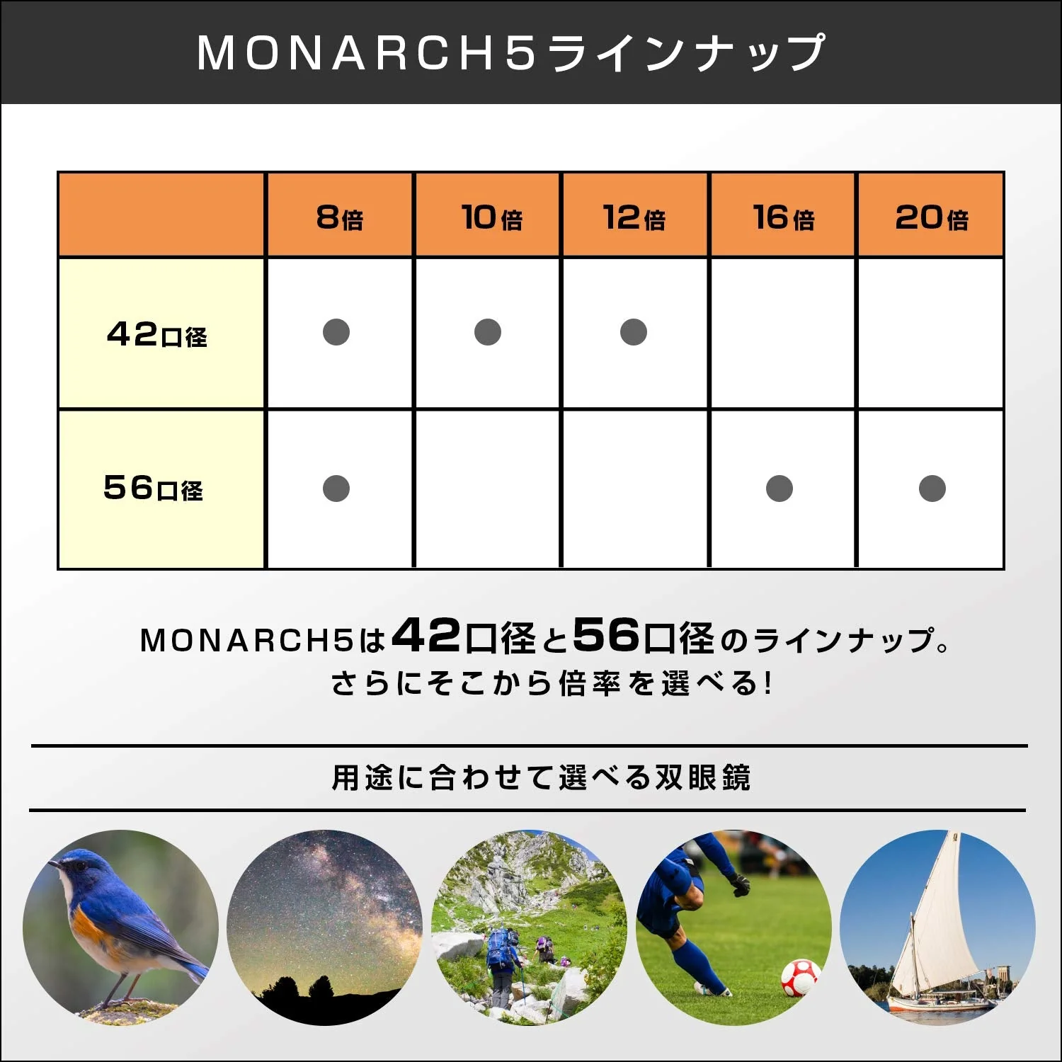 Nikon MONARCH 5 16x56 Roof Prism Binoculars - Image 7