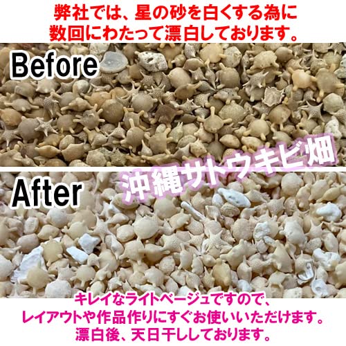 Okinawa Ishigaki Island star sand 1kg - Image 4