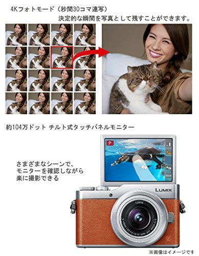 Panasonic MirrorLess Digital Camera LUMIX GF9 Double Zoom Lens Kit Orange - Image 7