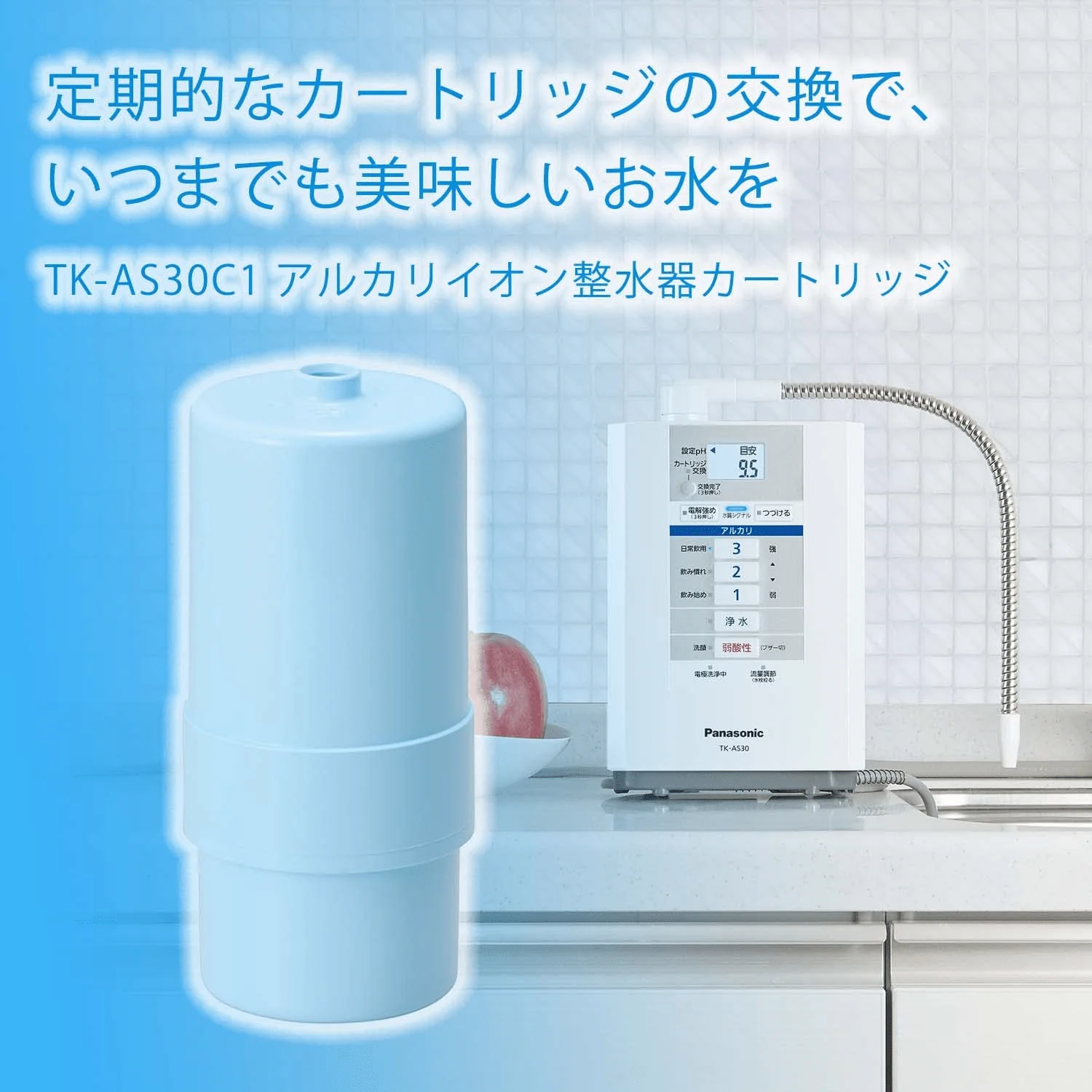 Panasonic Water purifier cartridge for alkaline ionized water apparatus TK-AS30C1 - Image 3