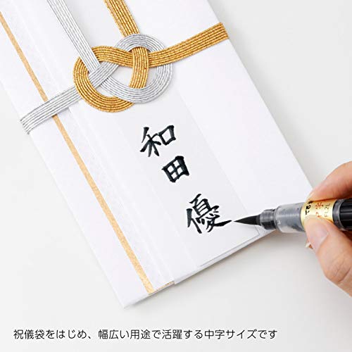 Pentel Fude Brush Pen Medium XFL2L Black - Image 5